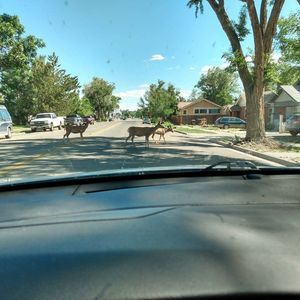 Meet your Posher, Paula